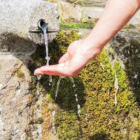 Casa De Ribeira Sacra *