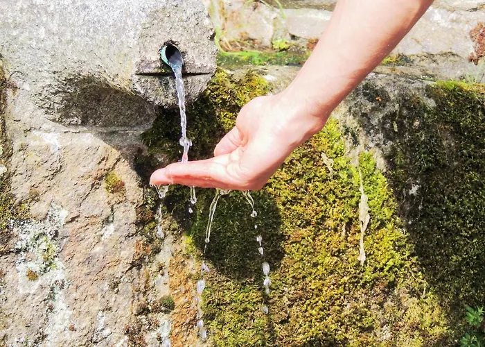 Casa De Ribeira Sacra *